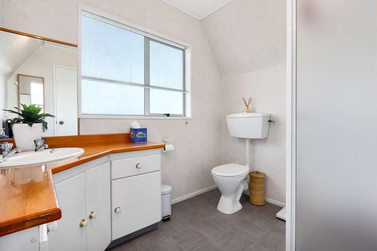 217 Larnach Road Waverley_20