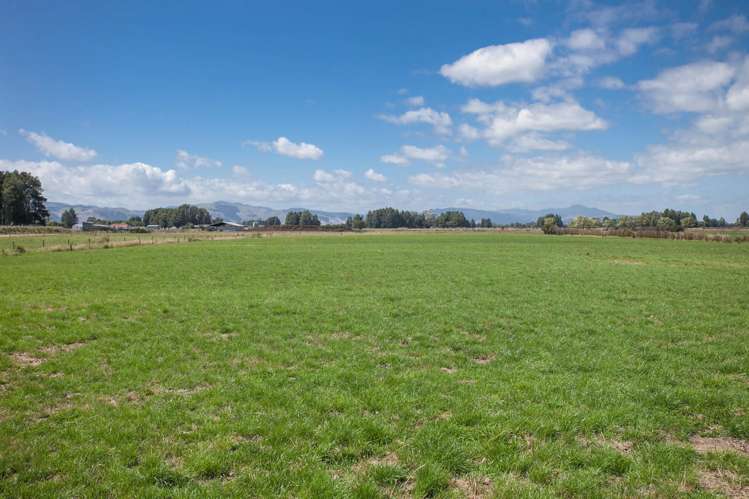 1067 Hauraki Road Paeroa_10