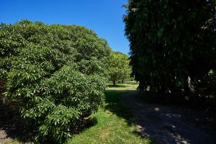 13 Makura Road Kaikoura_8