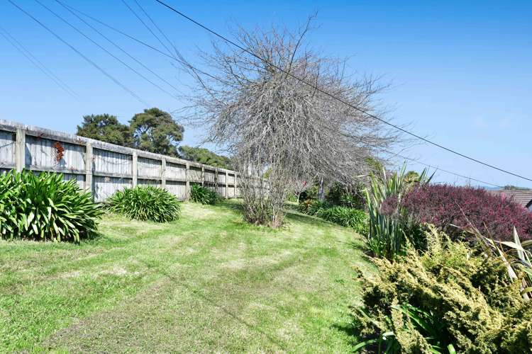 241 Kiwitahi Road Helensville_23