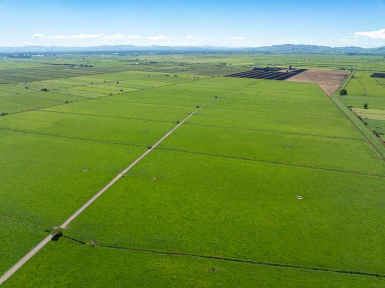 254 Muir Road Te Awamutu_25