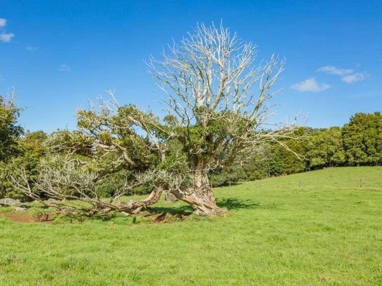 403 Te Ahu Ahu Road Waimate North_23