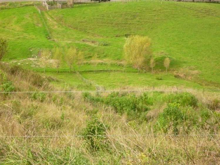 81 Wheatstone Road Wainui_16