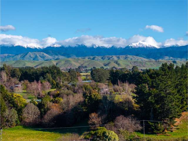 64B Opaki Kaiparoro Road Masterton_2