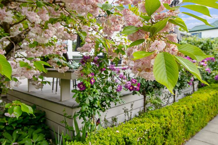 18 Purkiss Street Springlands_41