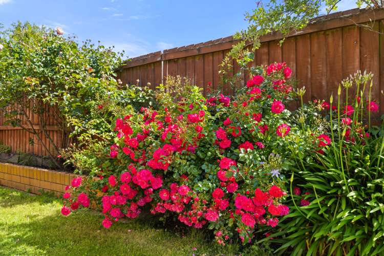 88 Neville Street Spreydon_21