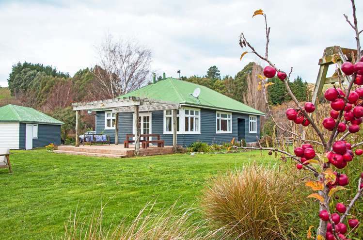 435 Jacksons Line Mauriceville_0