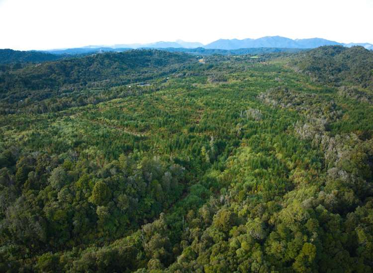 330 Rutherglen Road Marsden_28