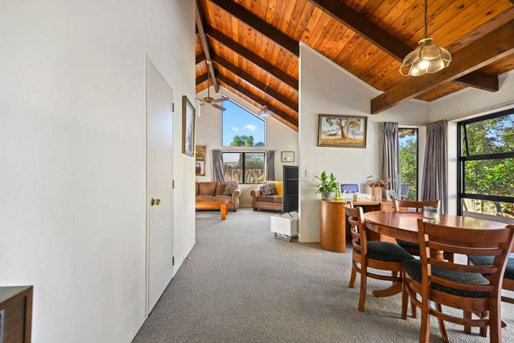 62 Herbert Road Queenwood_7