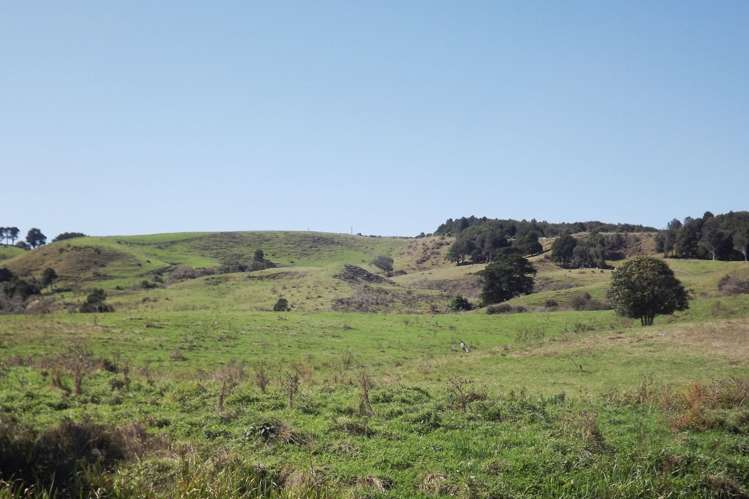 238 Waimaori Road Raglan_6