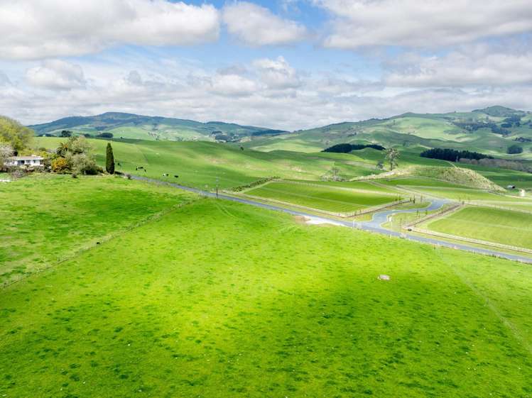 Waterworks Road Morrinsville_3