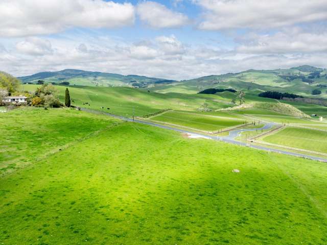 Waterworks Road Morrinsville_3