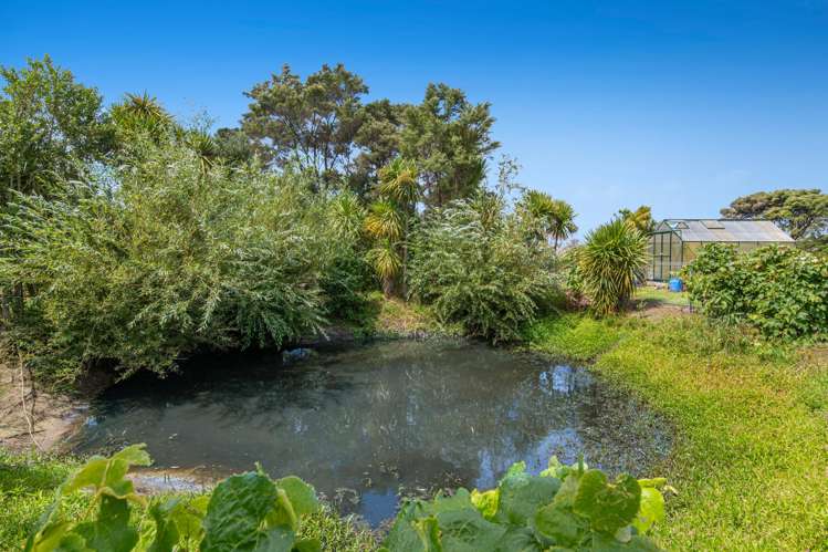 786 South Head Road South Head_31