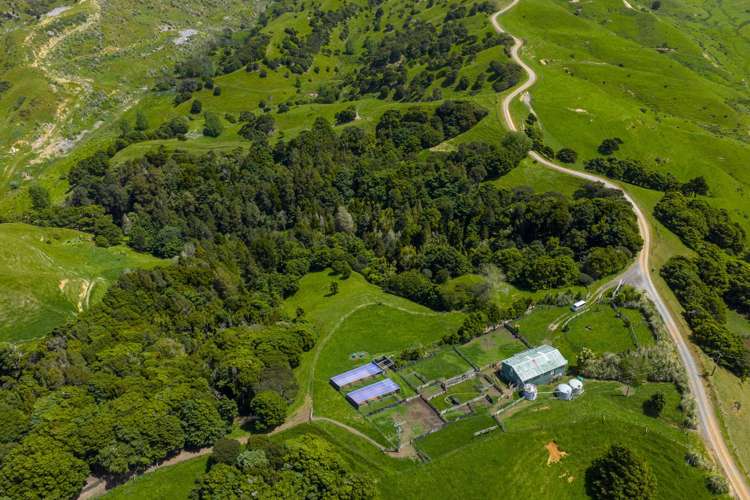 Te Akau Coast Road Te Akau_15