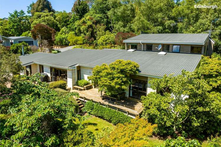 1 Leyden Terrace Andersons Bay_46