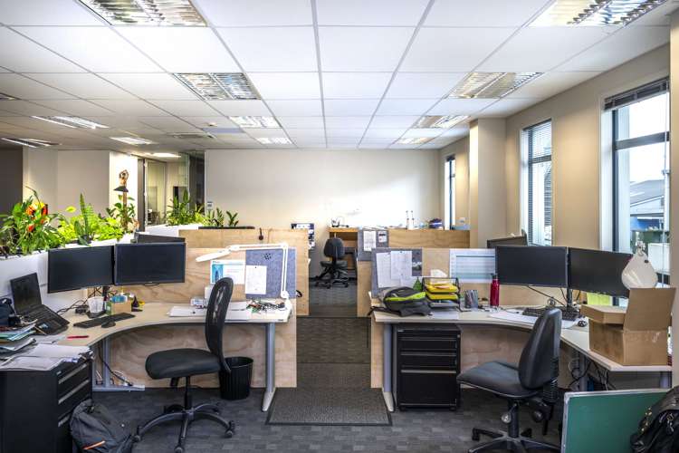 651 Rosebank Road Avondale_4