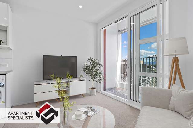 11 Akepiro Street Mount Eden_3