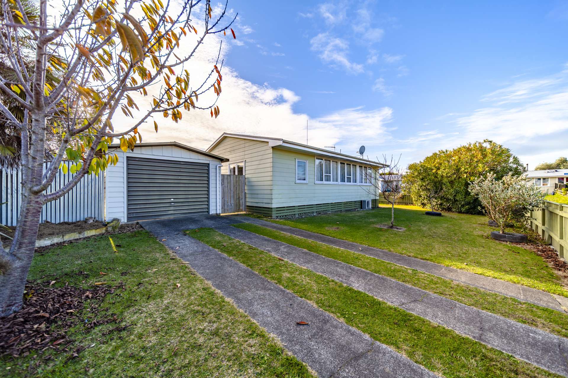 23 Hitchings Avenue Onekawa_0