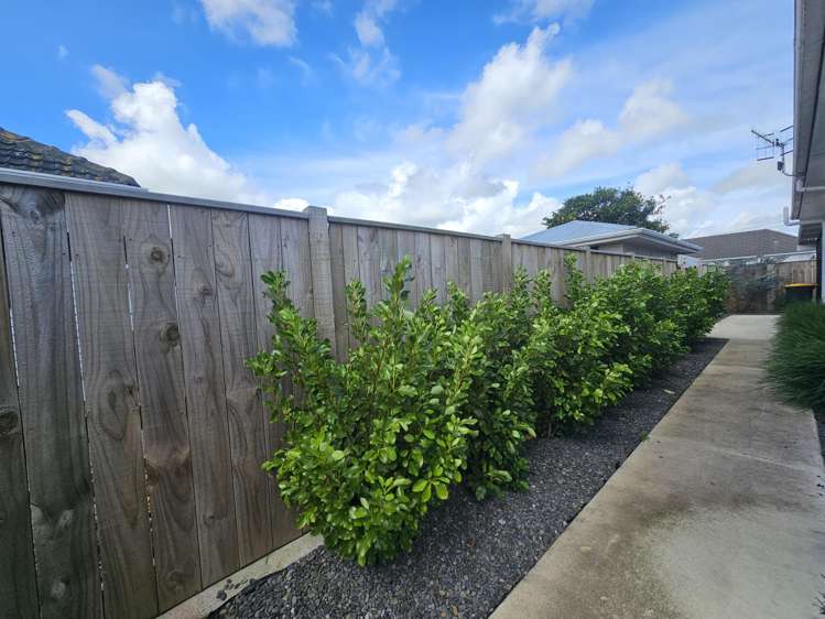 24 Winchester Street Levin_22