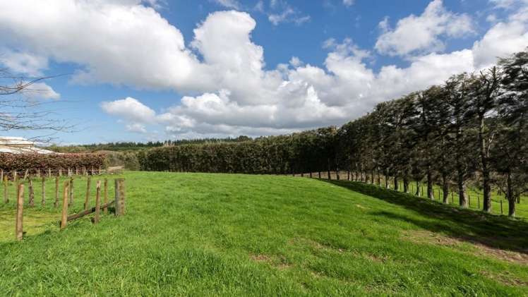 237a Busby Road Hauraki Surrounds_16