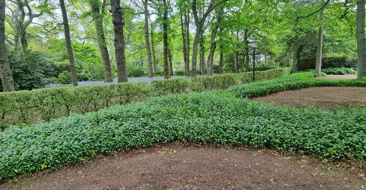 132 Old Tai Tapu Road Kennedys Bush_33