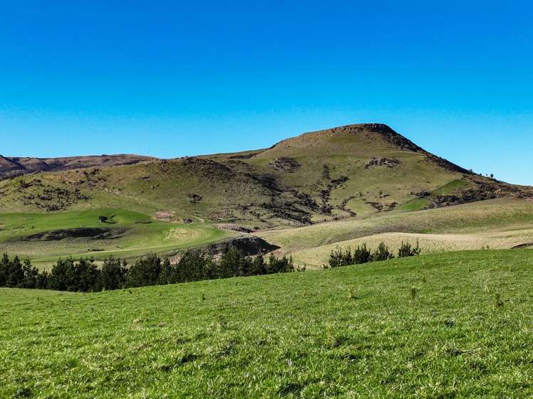 Hole and Corner Road Ferndale_12