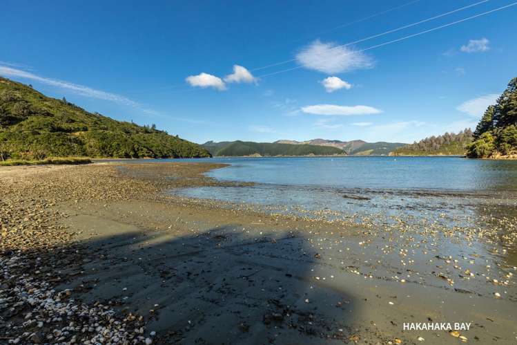 2 Hakahaka Road Port Underwood_33