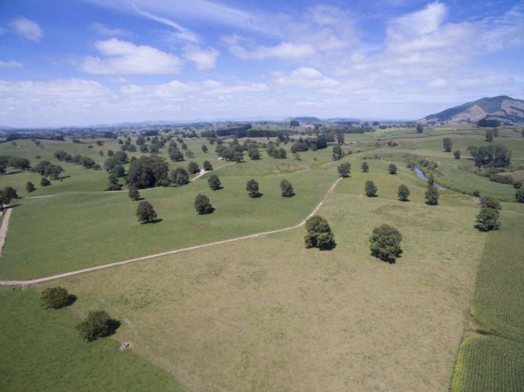 267 Frontier Road Te Awamutu_10