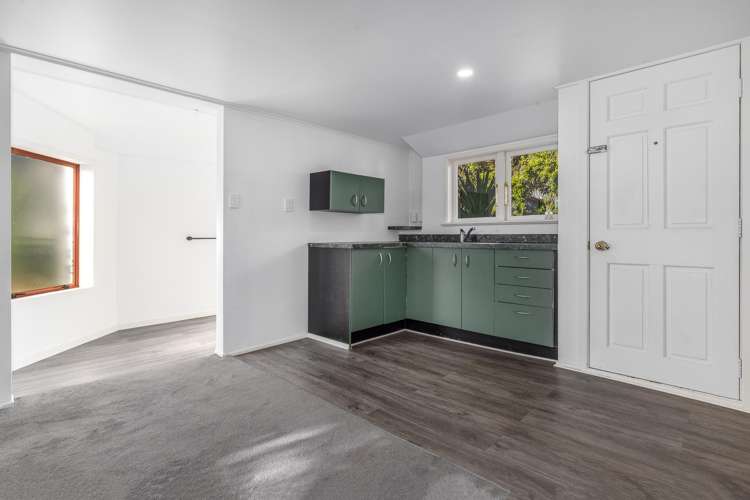 29B Sussex Street Levin_17