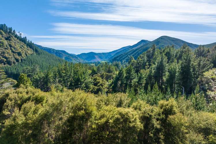 1025 Wakamarina Road Havelock_17