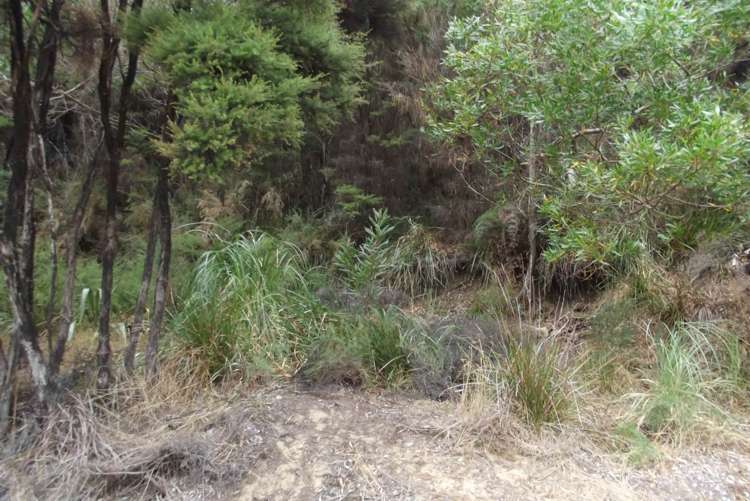 43 Greenview Drive Mangawhai Heads_7