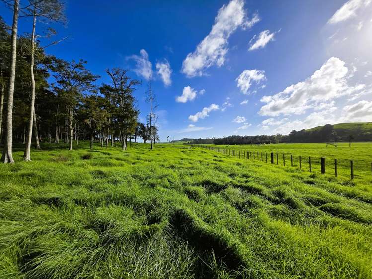 Lot Lot 3 Sills Road Dargaville_11