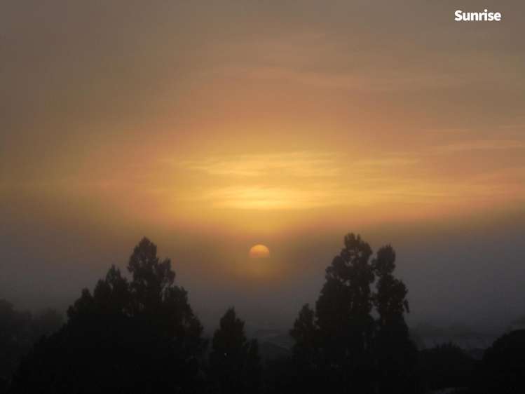 51 Ellicott Road Nawton_18