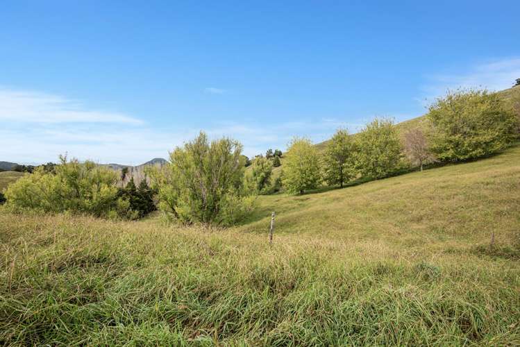 Kirikopuni Road Parakao_7