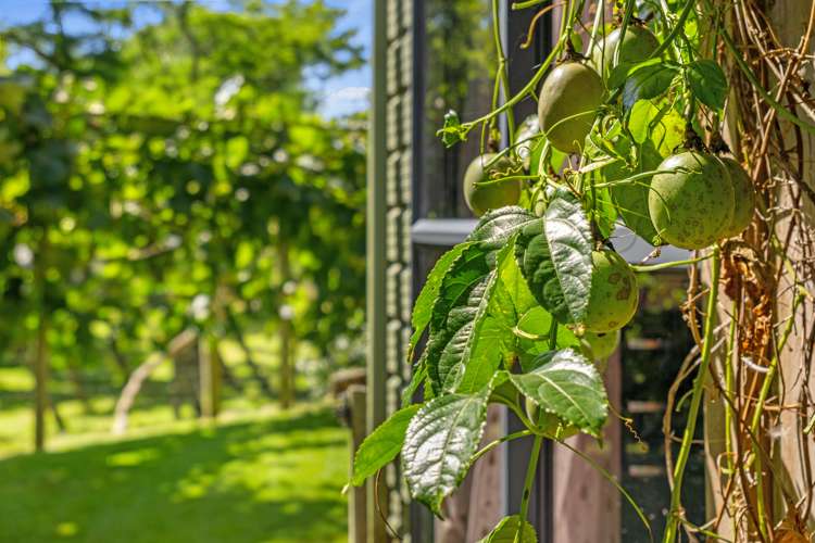 1 Paratu Road Richmond Downs_36