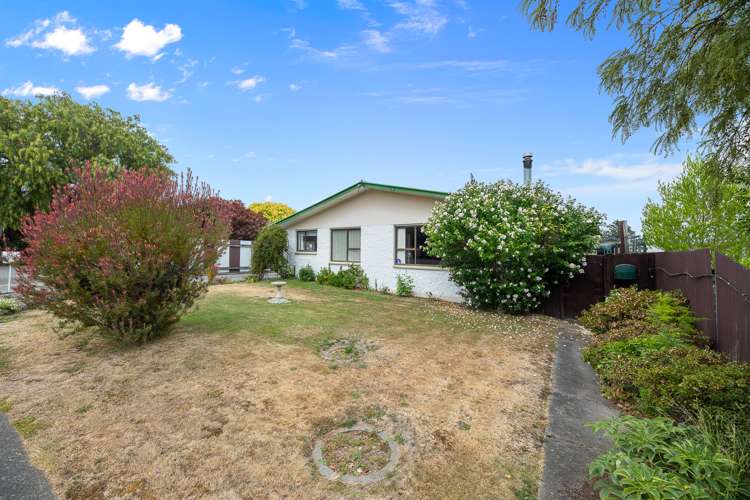 310 Scott Street Witherlea_20