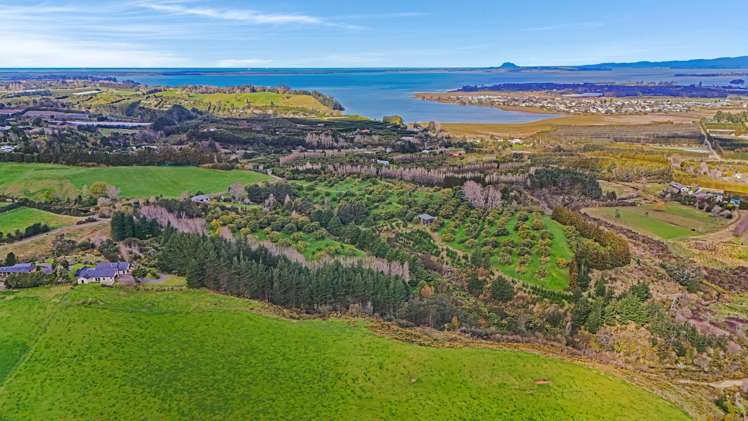 53C Woodland Road Tahawai_22