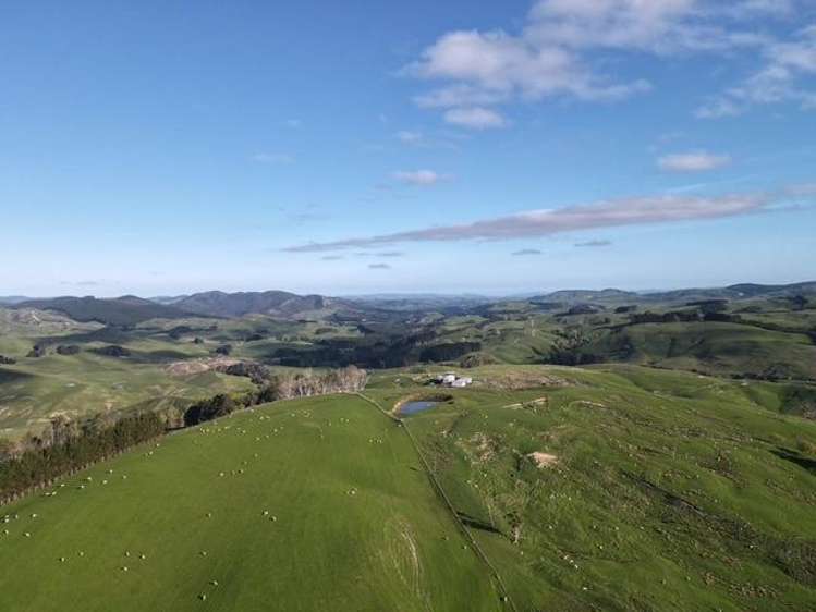 2256 Weber Road Dannevirke_10