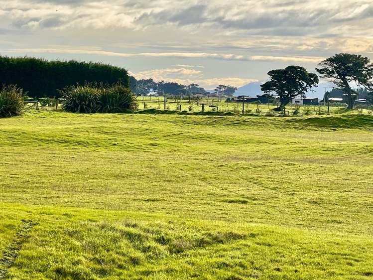 79 Otatara Road Otatara_5