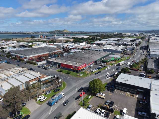 B/305 Neilson Street Onehunga_1