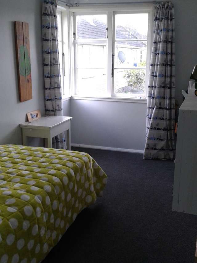 35 Wakeman Street Pahiatua_3