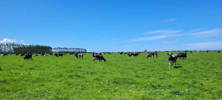 28 Toner Road Temuka_6