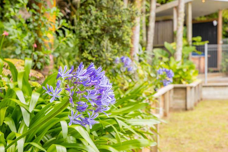 179 Woodlands Park Road Titirangi_13