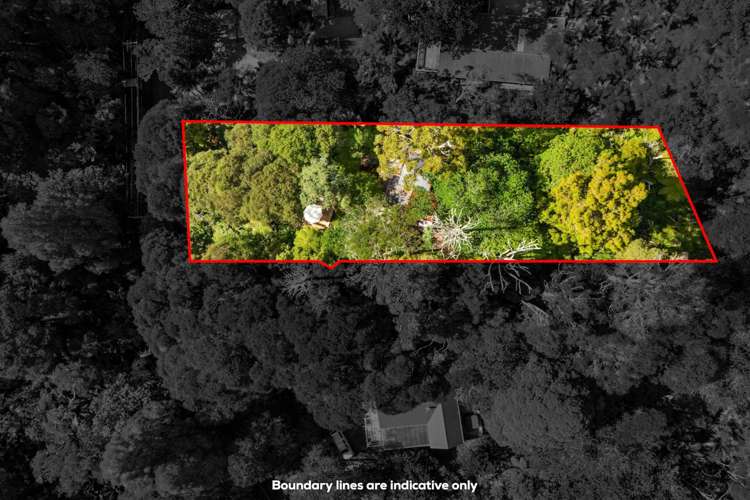 26 Mahoe Road Titirangi_22