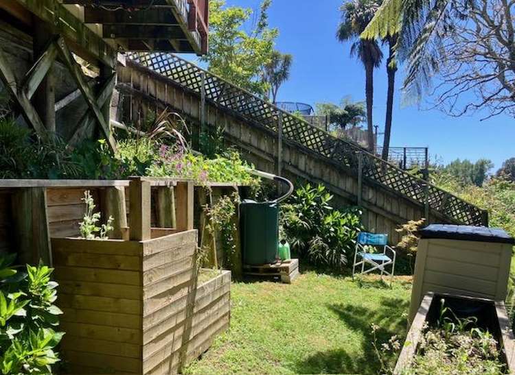 69 Mill Road Lower Vogeltown_18