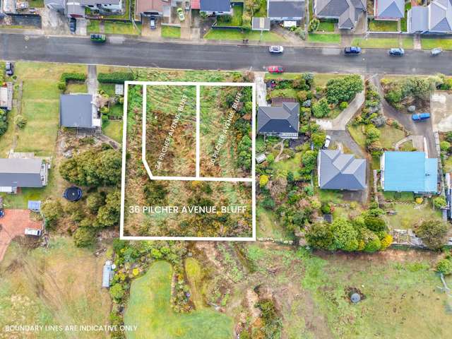 36 Pilcher Ave Bluff_3