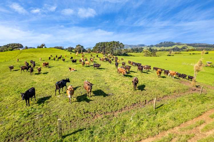 226 Pukearuhe Road Mimi_21