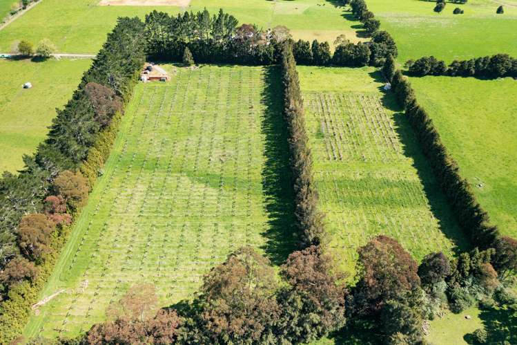 1374 Pipiwai Road Ruatangata_14