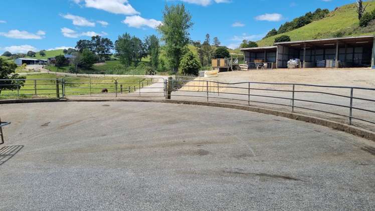 95 Masons Road Maromaku_7