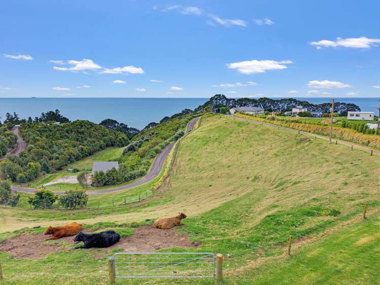 761F State Highway 2 Pikowai Pikowai_15